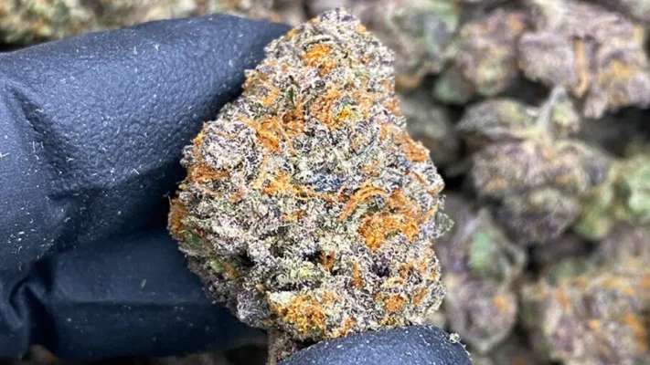 THCA Flower Guide