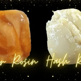 Rosin vs. Hash