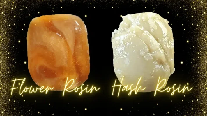 Rosin vs. Hash
