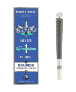 Presidential Blue Raspberry Moon Rock Preroll 1g with kief and hash oil